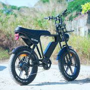 A black electric bicycle with fat tires, a step-through frame, and a large battery mounted in the frame, photographed outdoors on a sandy path with grassy vegetation in the background. The side panel reads 'V8 Max'.