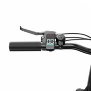 C29 LITE