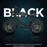 Engwe M20 dual battery changing colors 