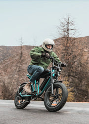 ENGWE M20 DB